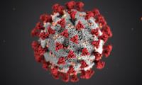 Illustration af Coronavirus med spikeproteiner