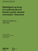 Billede af forsiden på rapporten: sort tekst på grøn baggrund samt SDU's og Rådets logo i sort.