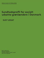 Billede af forsiden på rapporten, sort skrift på grøn baggrund
