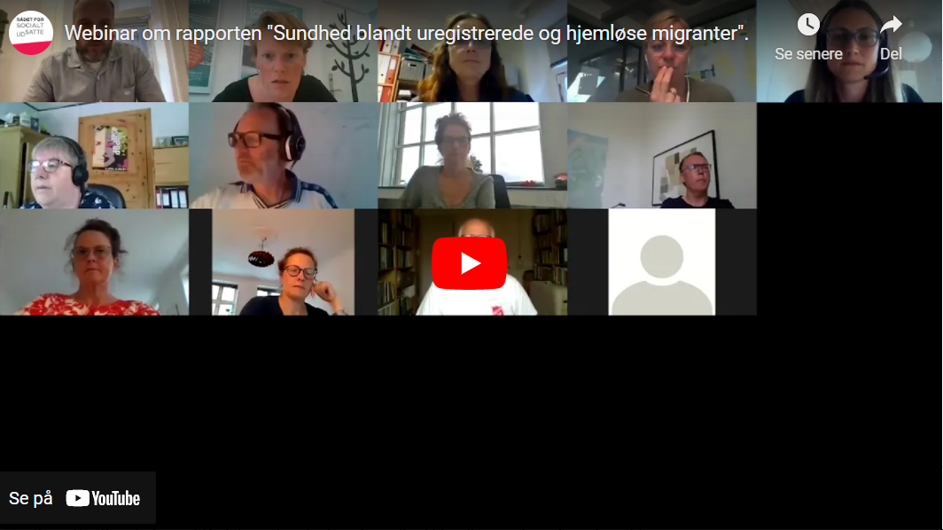 Screenshot fra webinar om udsatte hjemløse migranter: mødedeltagere på skærmen